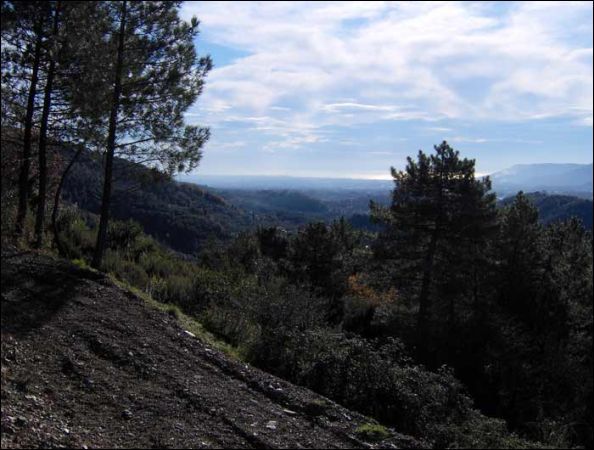 Immagine 8 di Casa indipendente in vendita  a Sarzana