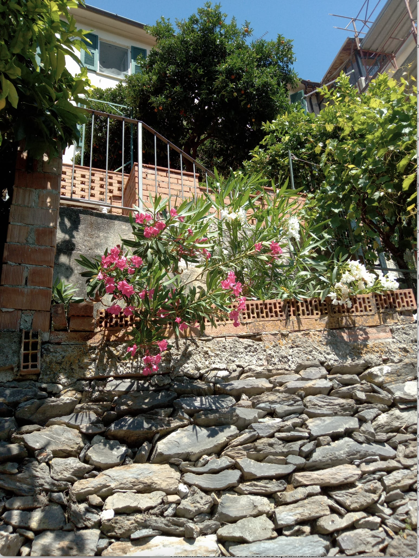 Immagine 1 di Casa indipendente in vendita  a Ameglia