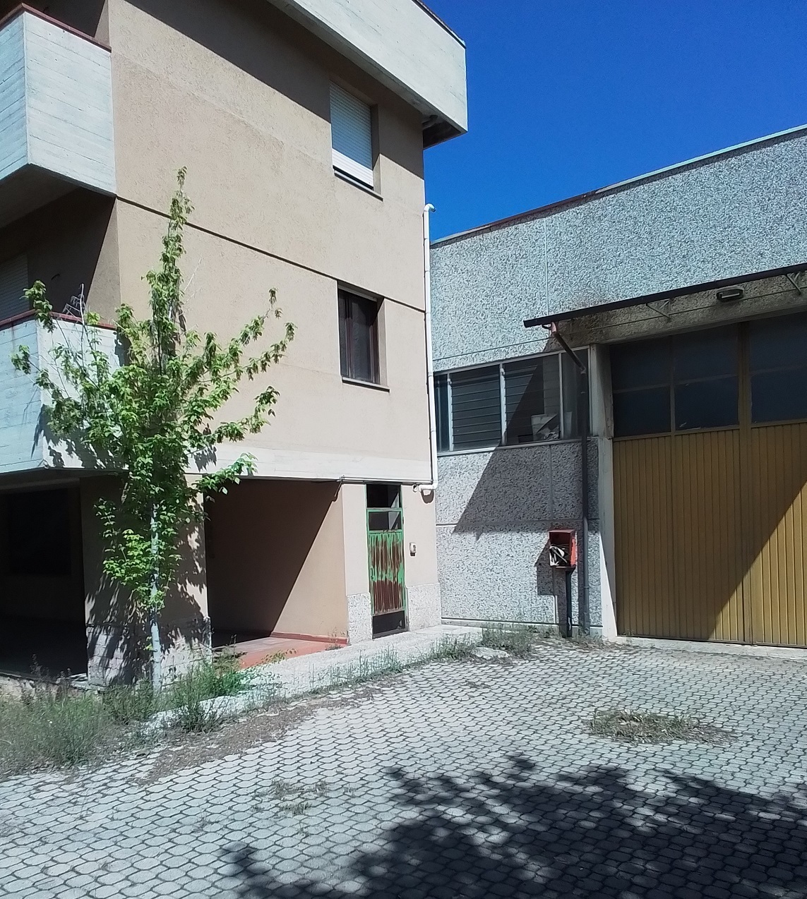 Foto annuncio 2