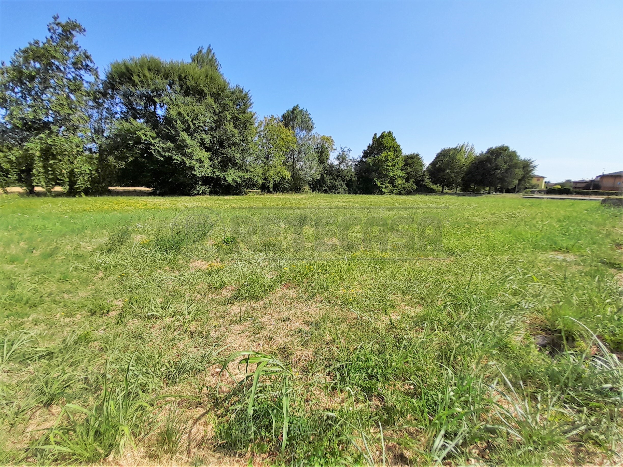 Immagine 8 di Terreno edificabile in vendita  a Castegnero