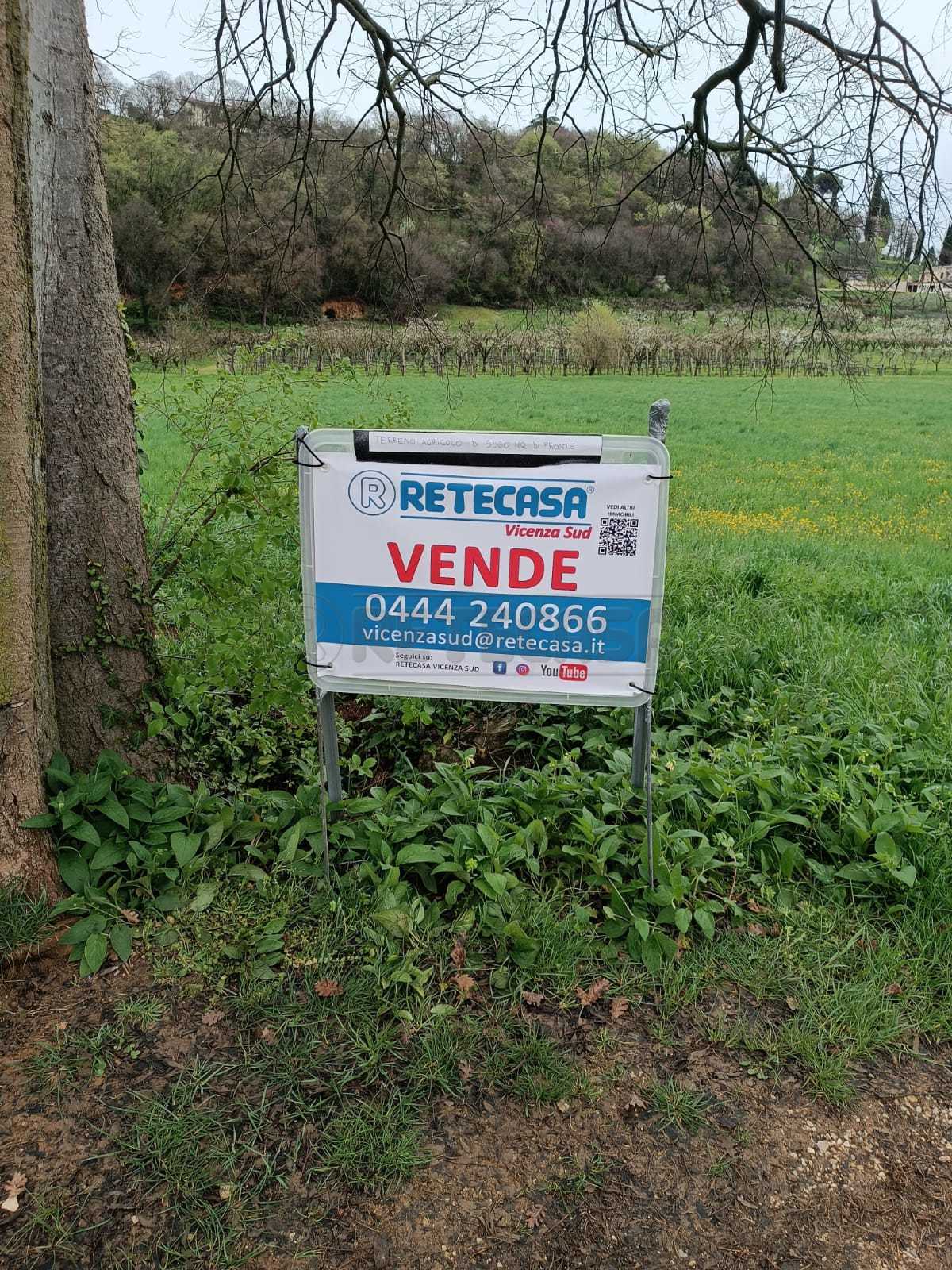 Immagine 1 di Terreno agricolo in vendita  a Castegnero