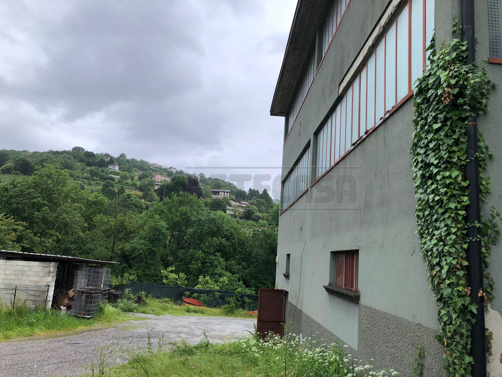 Foto annuncio 1
