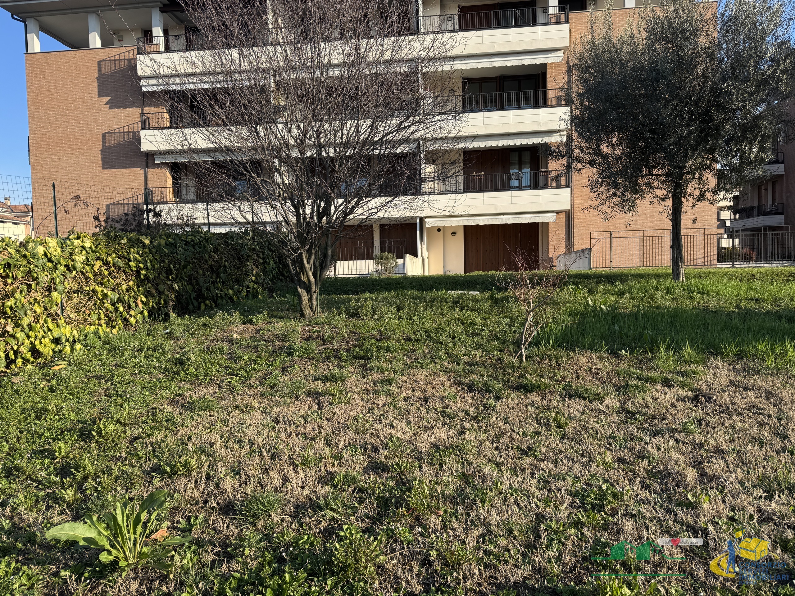 Foto annuncio 1