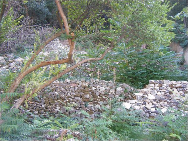Immagine 10 di Porzione di casa in vendita  a Modica