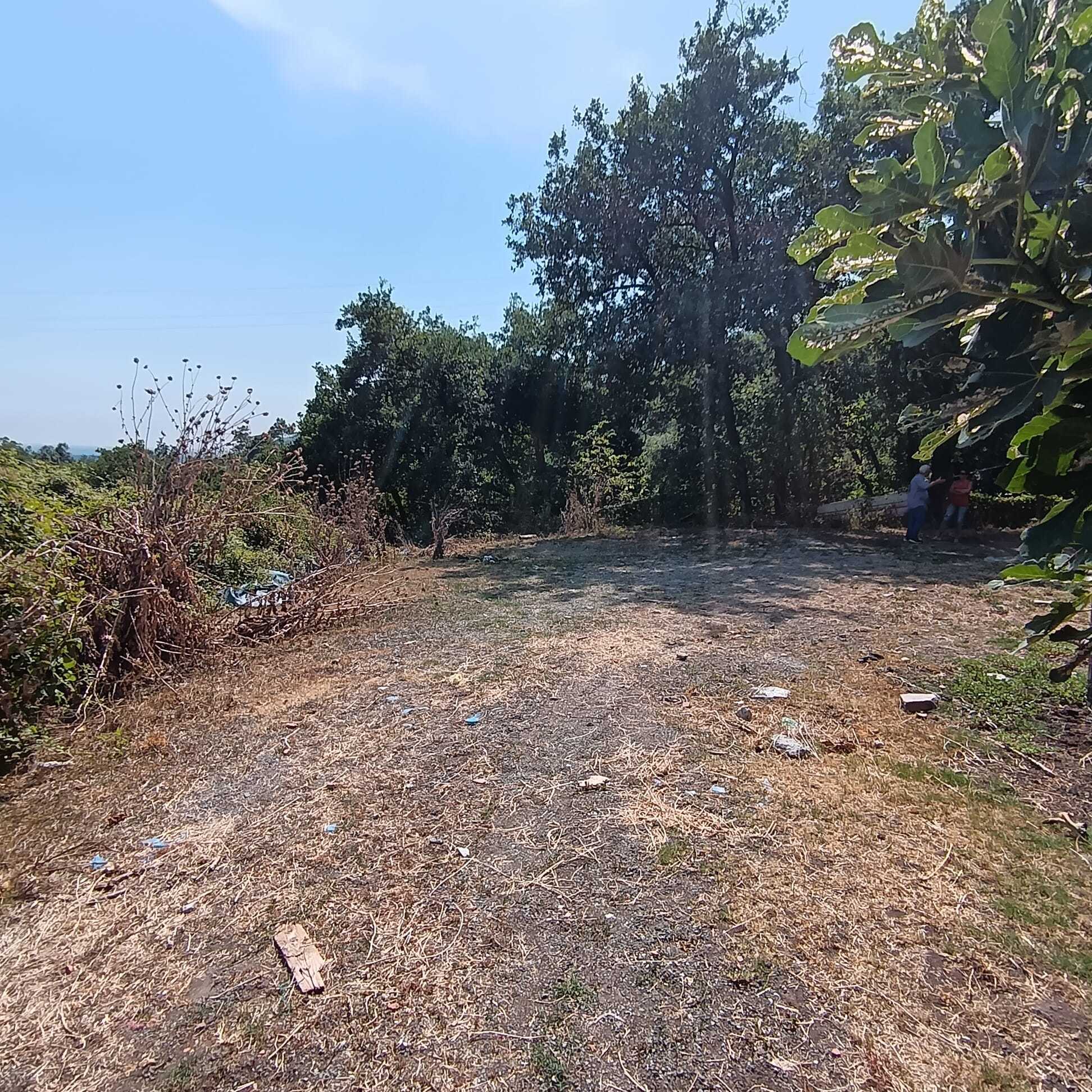 Immagine 12 di Rustico / casale in vendita  a Castelnuovo Magra