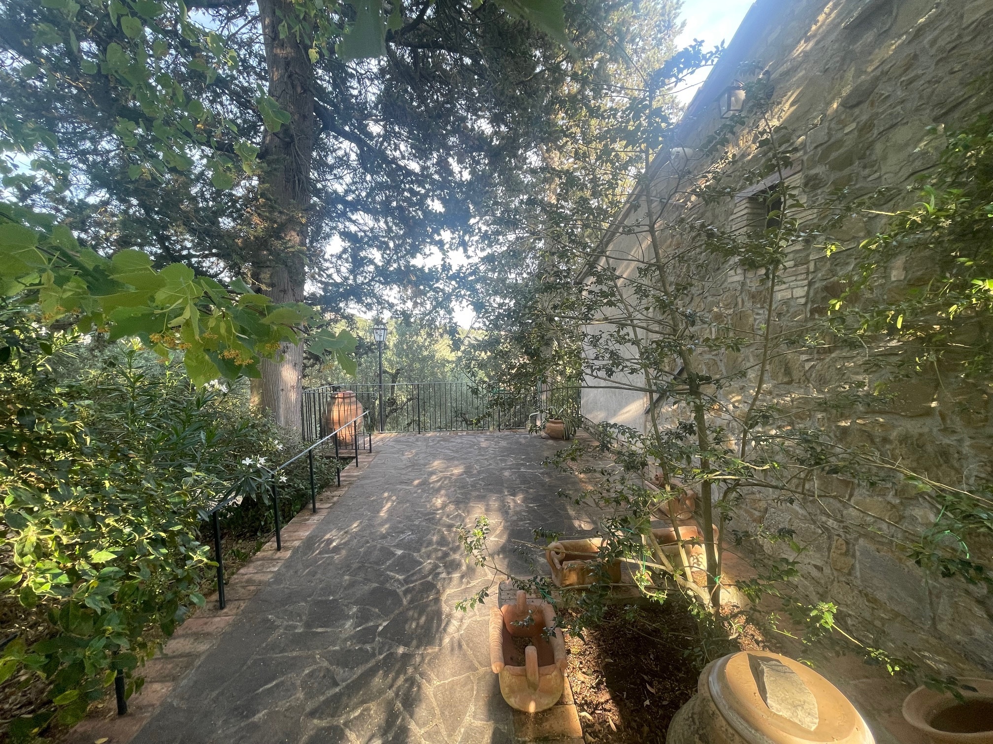 Foto annuncio 9