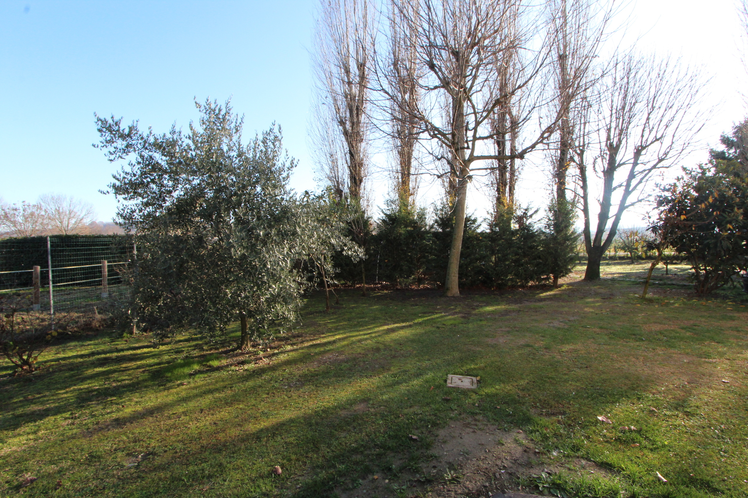 Foto annuncio 11