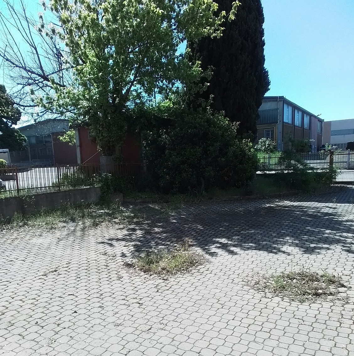 Foto annuncio 46