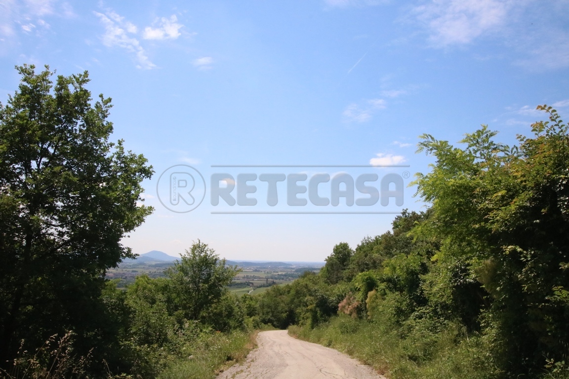 Immagine 13 di Terreno agricolo in vendita  in Via Castellaro a Castegnero