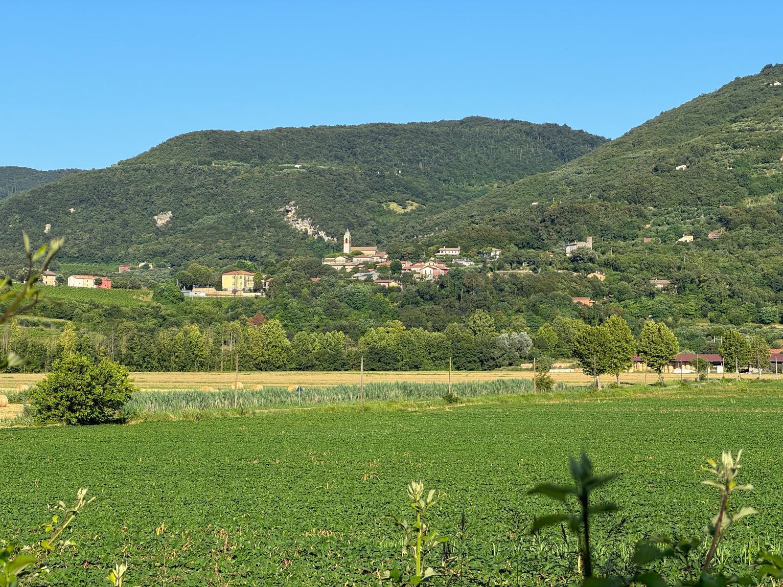 Immagine 10 di Terreno edificabile in vendita  in Via Giuseppe Garibladi a Barbarano Mossano