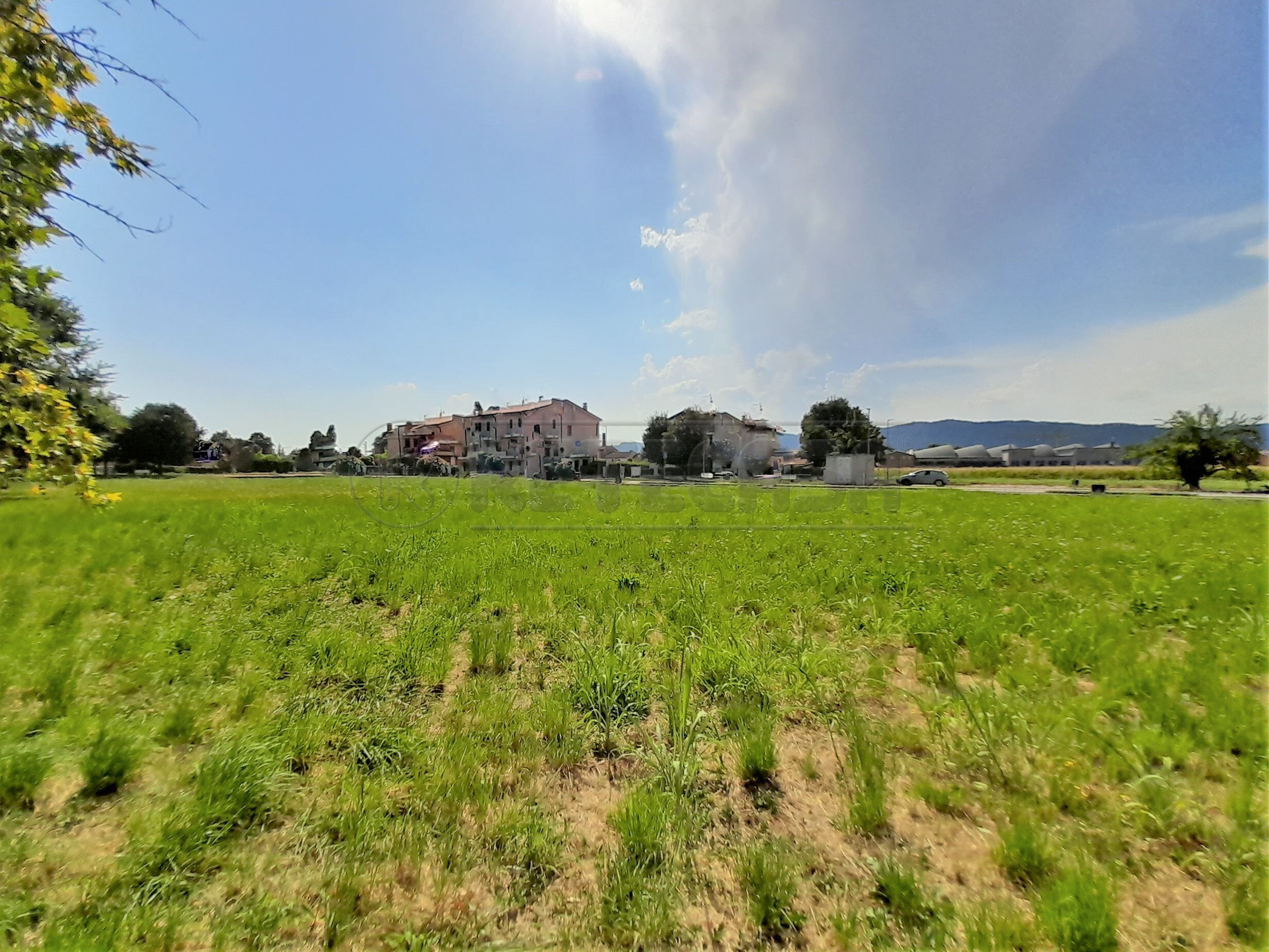 Immagine 7 di Terreno edificabile in vendita  a Castegnero