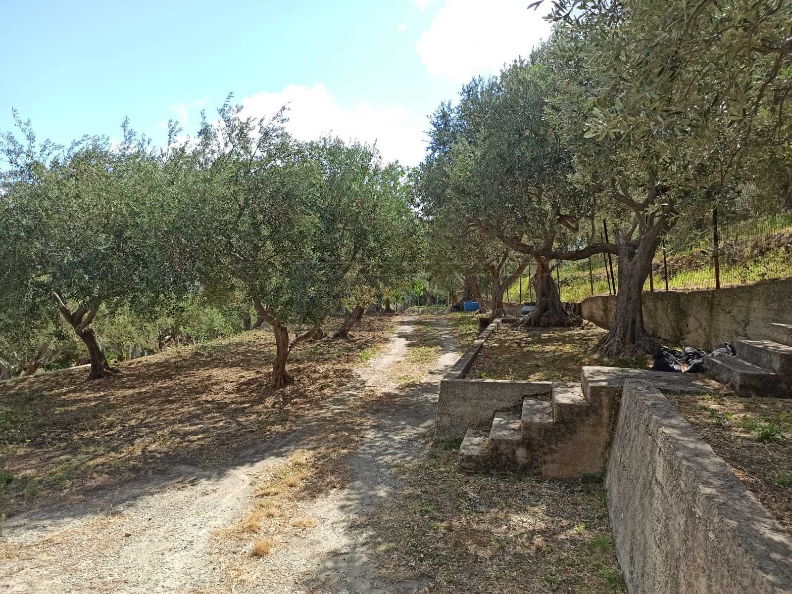 Immagine 2 di Rustico / casale in vendita  in Contrada Sant'Anna 39 a Messina