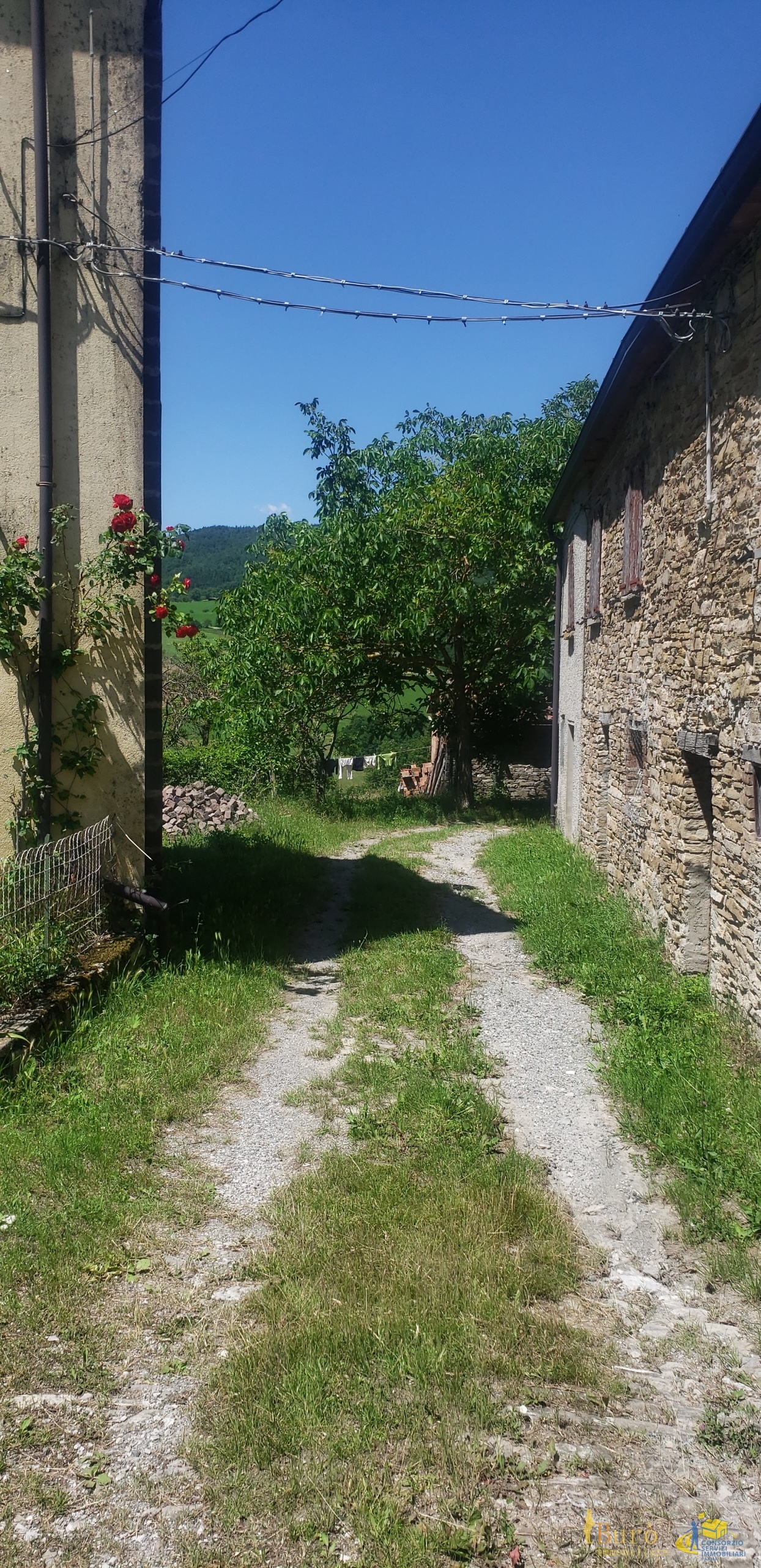 Immagine 3 di Porzione di casa in vendita  in Località Ronchi 59 a Varsi