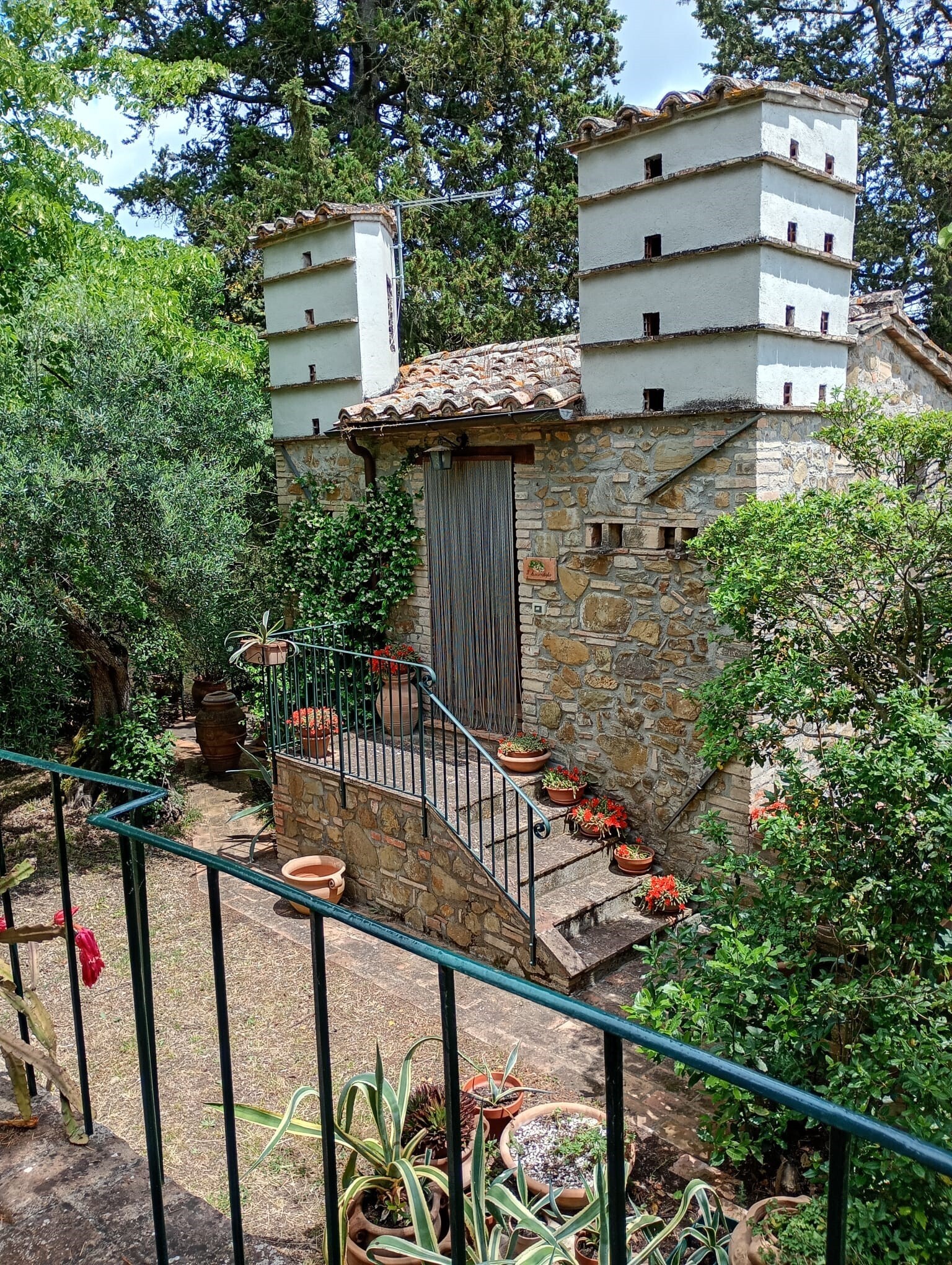 Foto annuncio 18