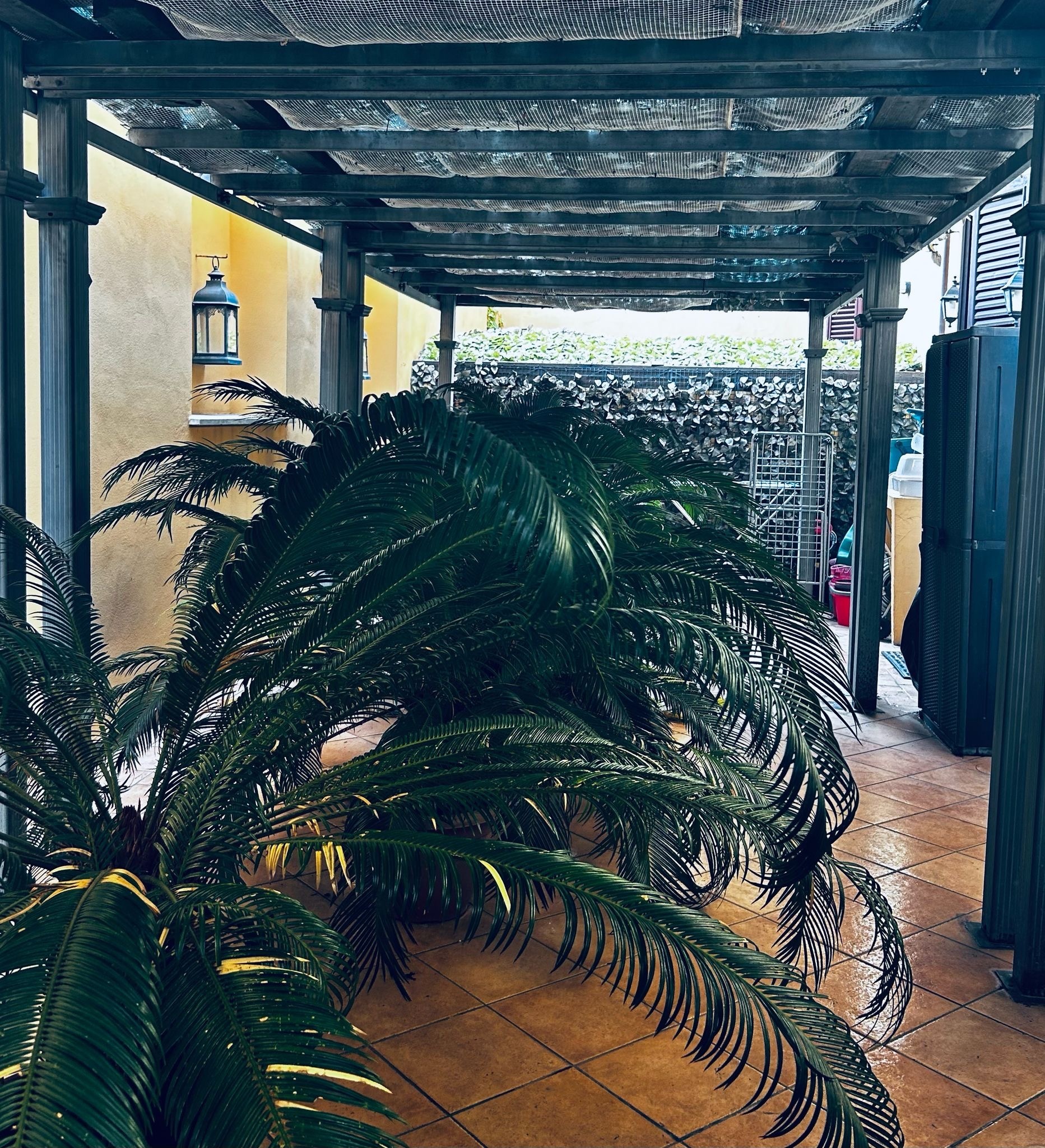 Immagine 16 di Appartamento in vendita  in Viale Trieste a Jesi