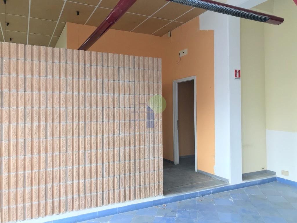 Foto annuncio 14