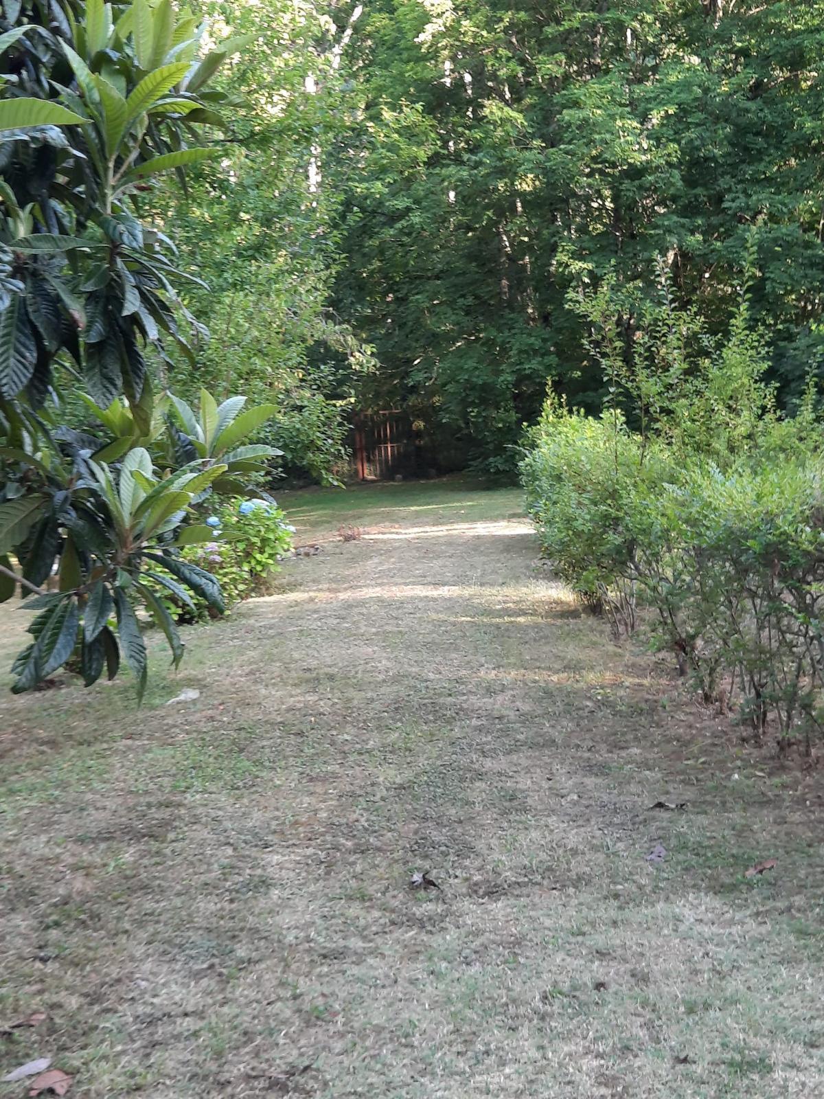 Immagine 6 di Pentalocale in vendita  in Via Verna a Chitignano