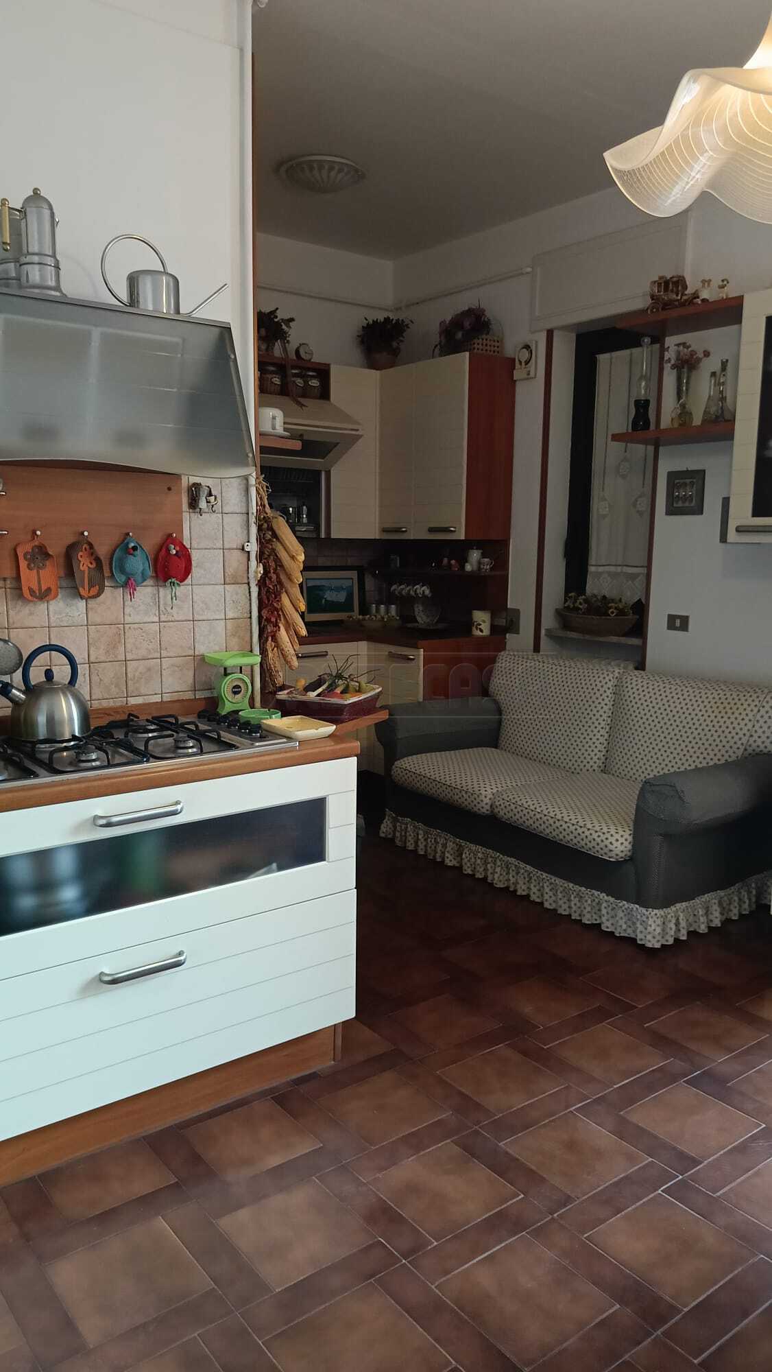 Foto annuncio 11