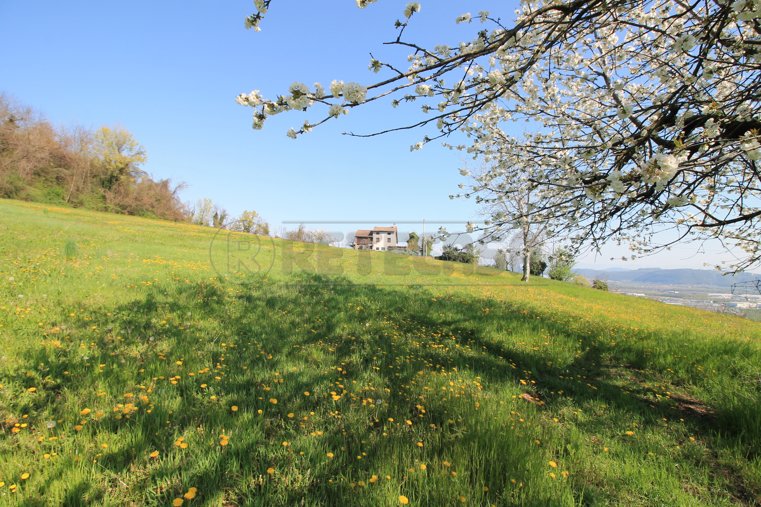 Immagine 3 di Rustico / casale in vendita  in Via San Nicolò 7 a Montorso Vicentino