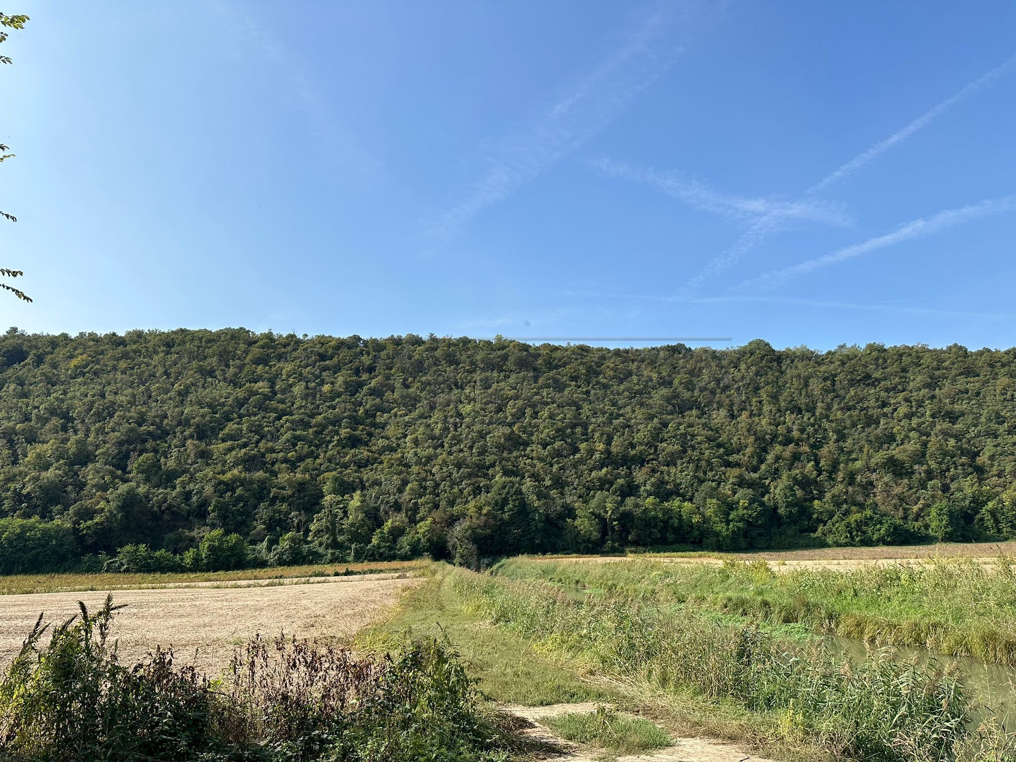 Immagine 9 di Terreno agricolo in vendita  in via san rocco a Arcugnano
