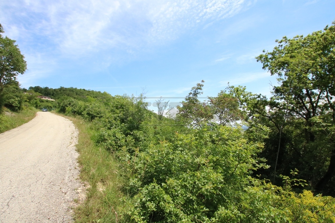 Immagine 14 di Terreno agricolo in vendita  in Via Castellaro a Castegnero