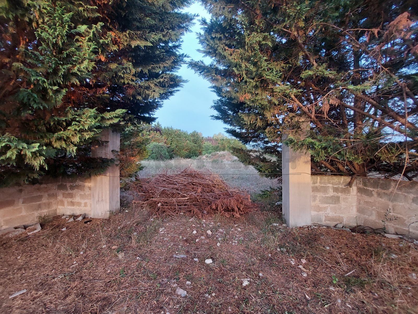 Immagine 9 di Terreno agricolo in vendita  in Contrada Maccallè a Muro Leccese