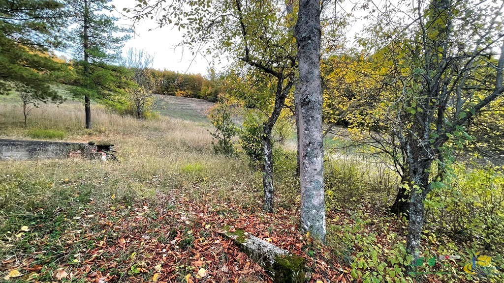 Immagine 15 di Rustico / casale in vendita  in pessola casa gasparone 81 a Varsi