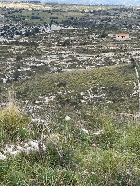 Foto annuncio 8