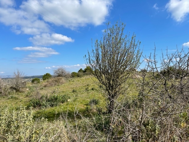 Foto annuncio 3