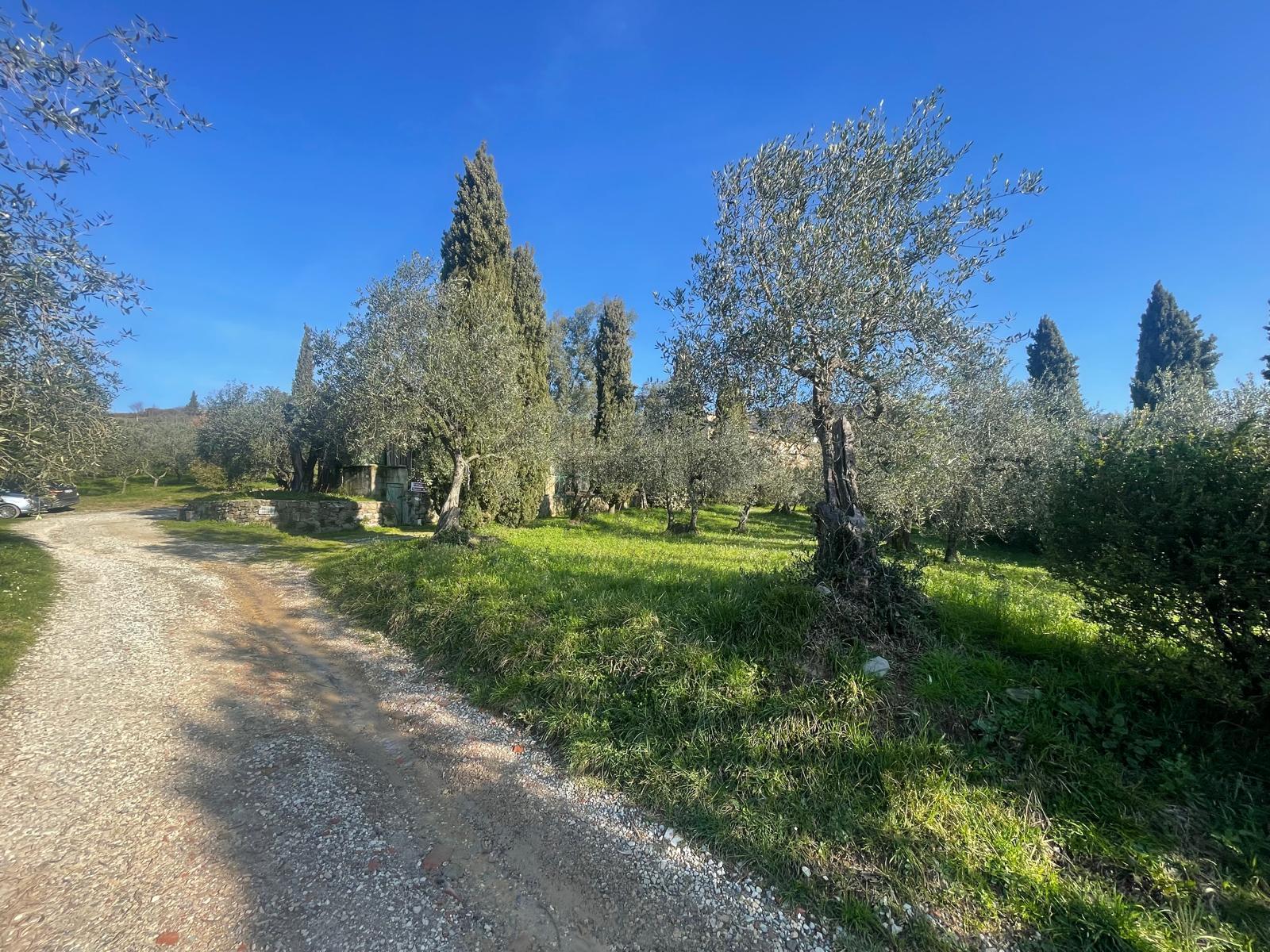 Immagine 16 di Rustico / casale in vendita  in Via dei bertolotti a Lucca