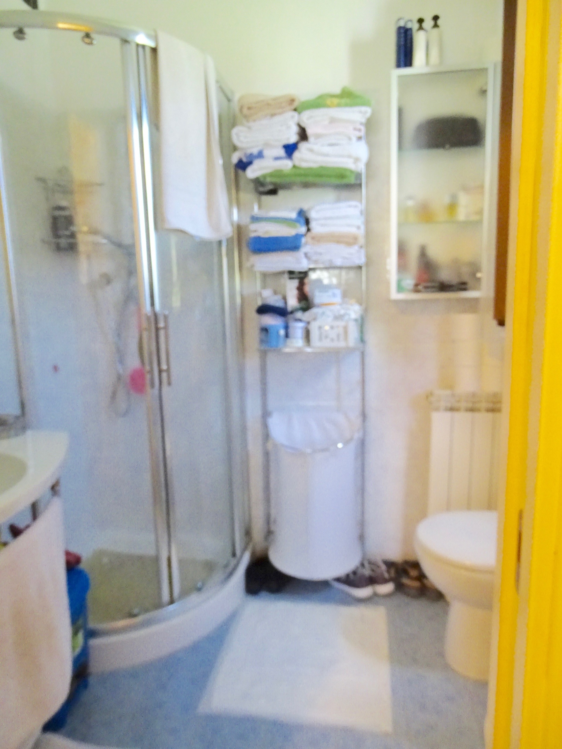 Immagine 9 di Villa in vendita  a Sarzana