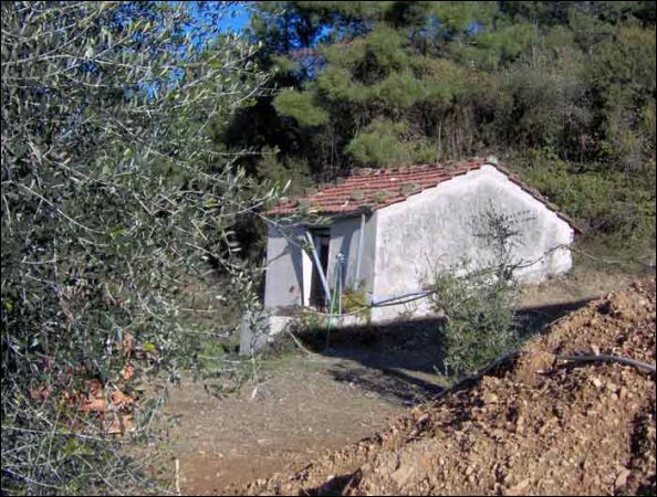 Immagine 6 di Casa indipendente in vendita  a Sarzana