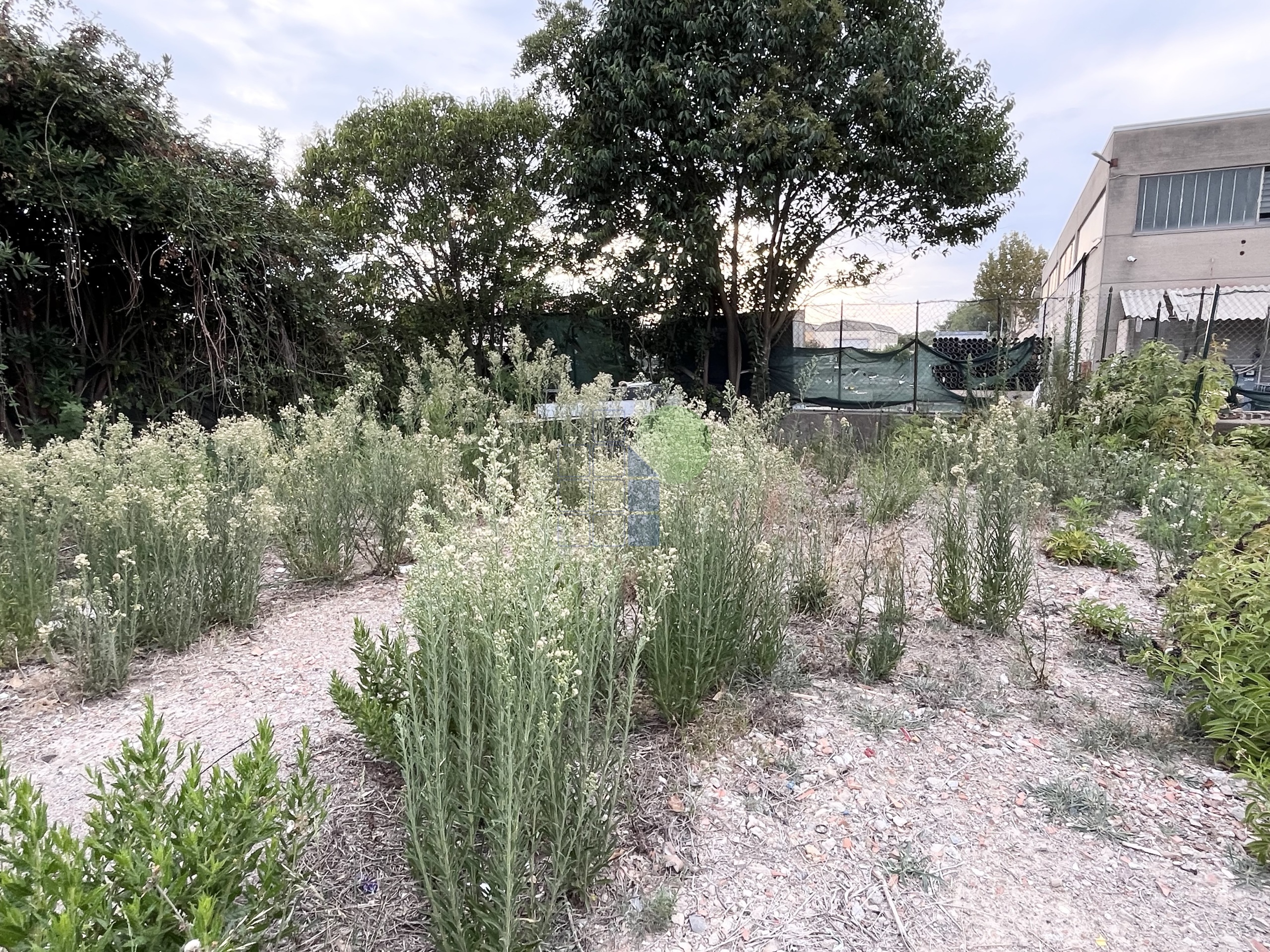 Immagine 5 di Garage in affitto  in Via Guido Rossa 44 a Rosignano Marittimo