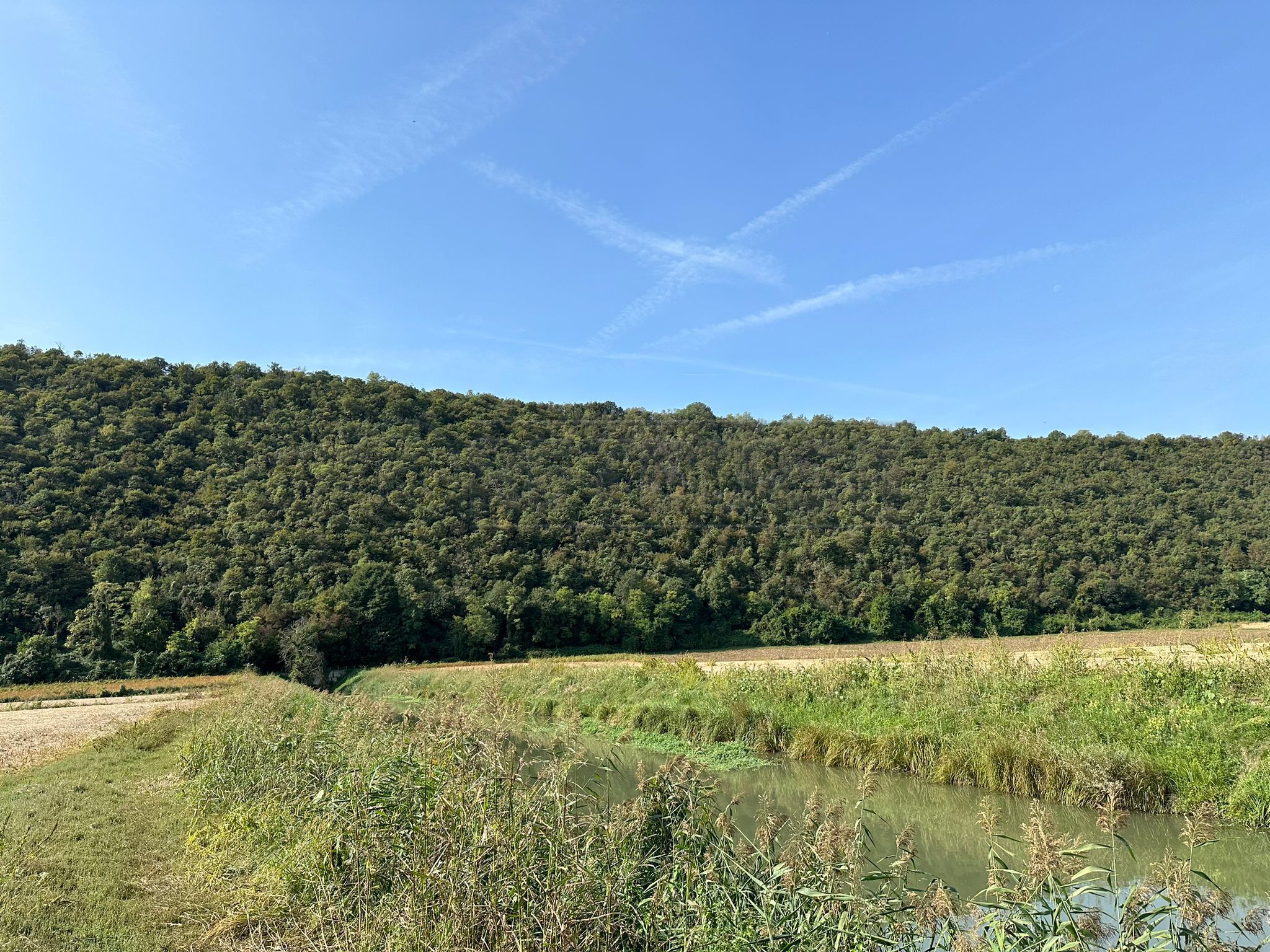 Immagine 8 di Terreno agricolo in vendita  in via san rocco a Arcugnano