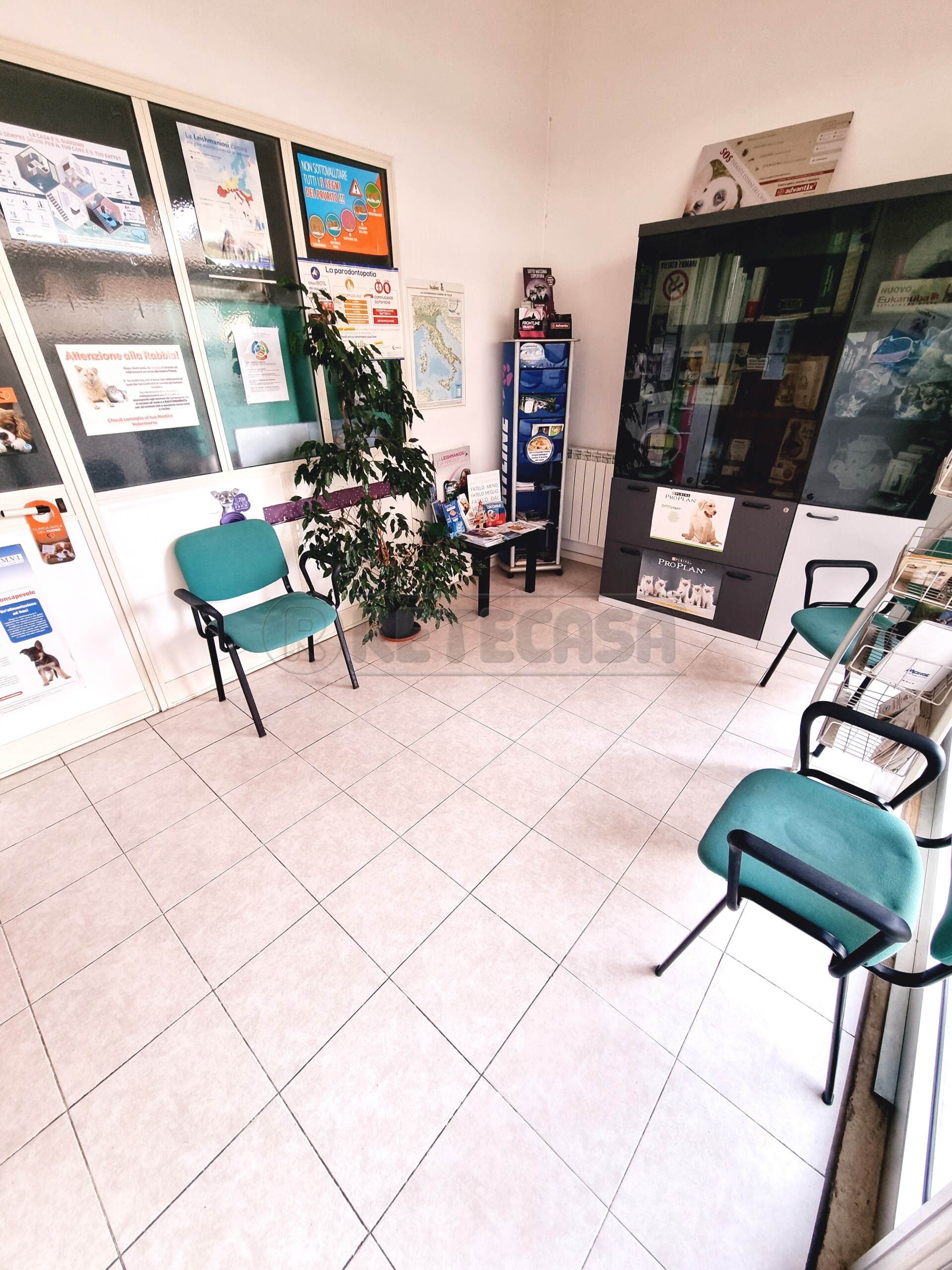 Immagine 9 di Locale commerciale in vendita  a Pescara