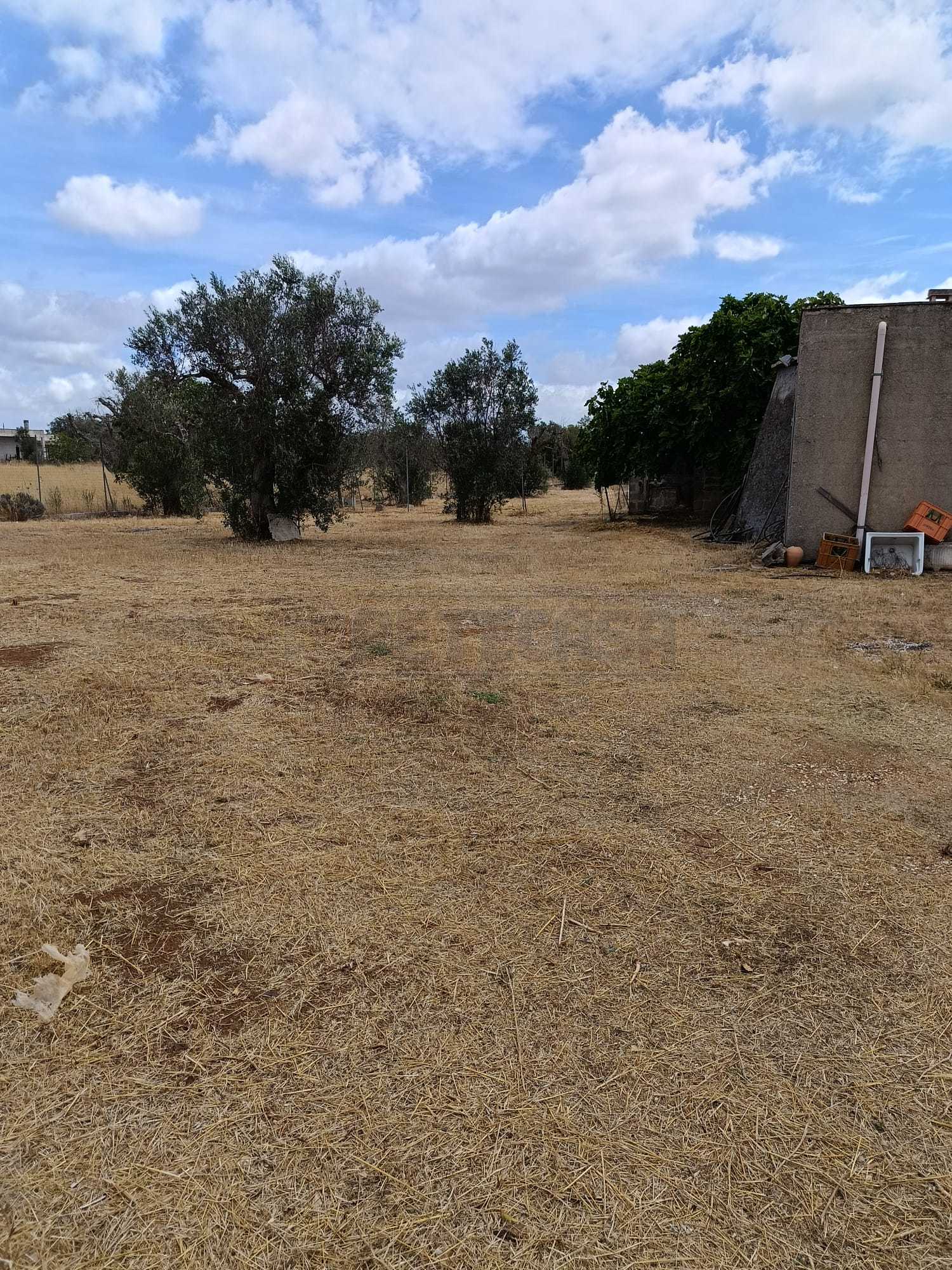 Immagine 7 di Terreno agricolo in vendita  a Corigliano D'otranto