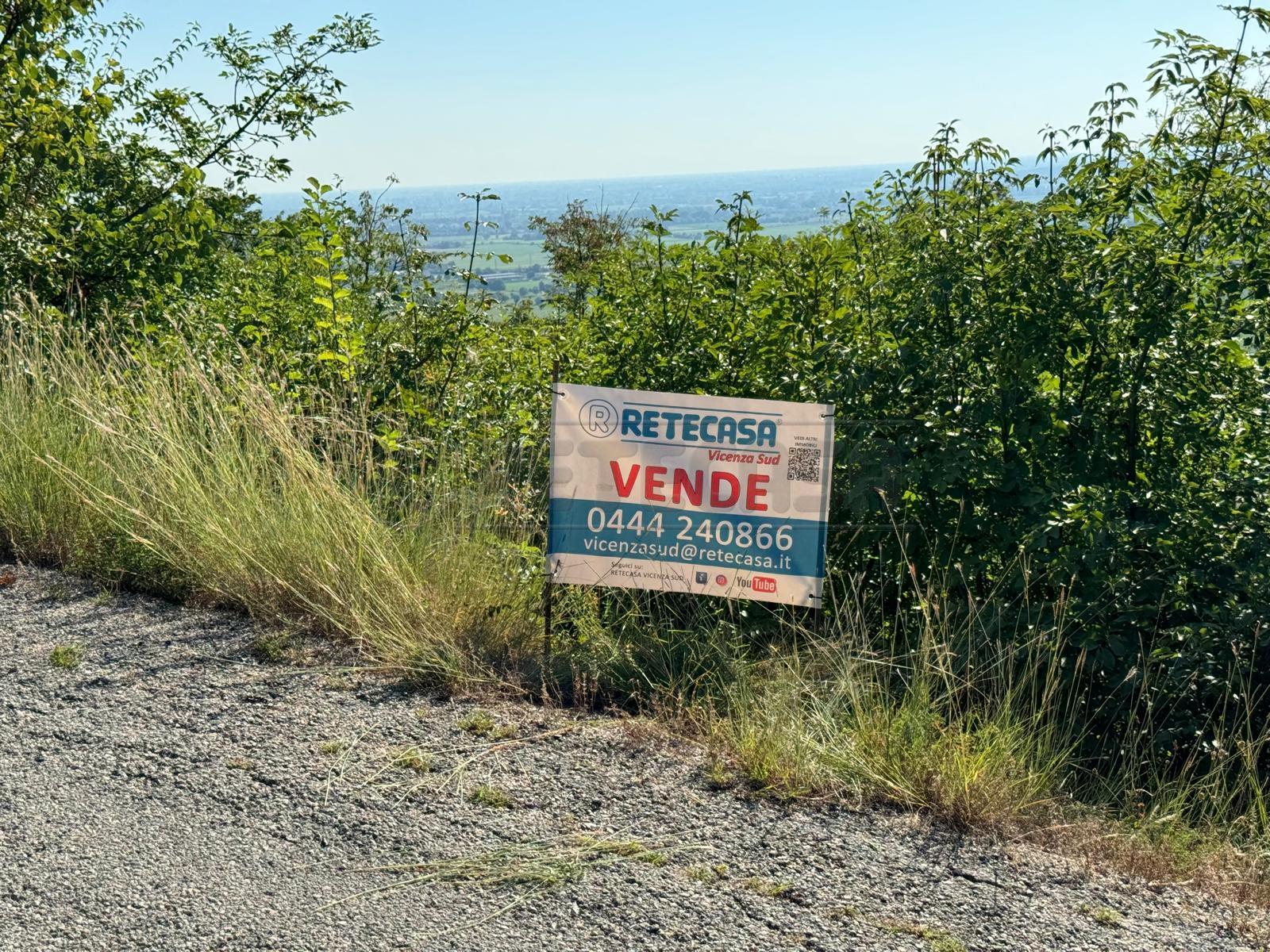 Immagine 3 di Terreno agricolo in vendita  in Via Castellaro a Castegnero