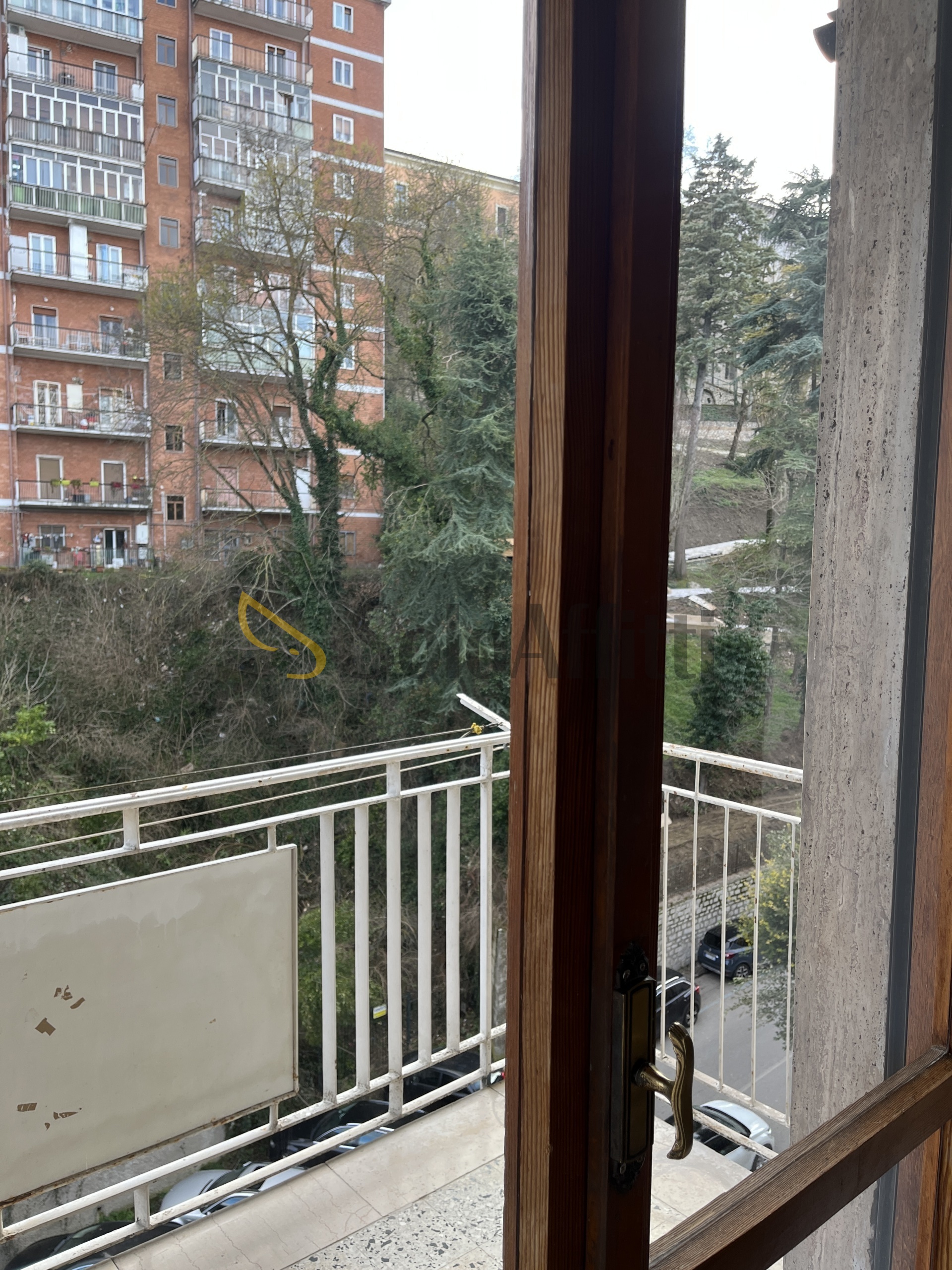 Foto annuncio 11