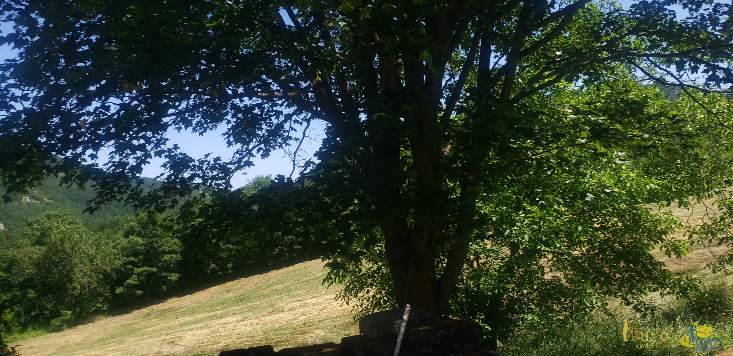 Immagine 6 di Porzione di casa in vendita  in Località Ronchi 59 a Varsi