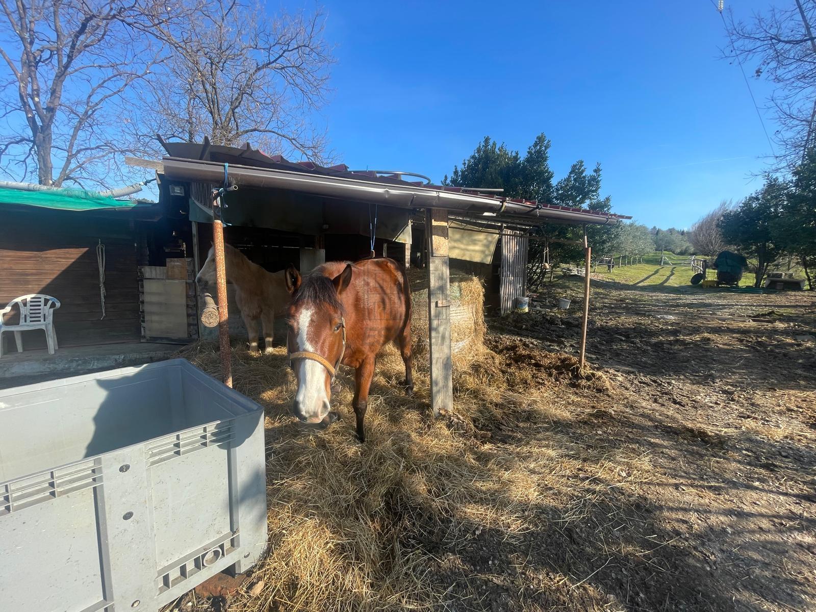 Immagine 11 di Rustico / casale in vendita  in Via dei bertolotti a Lucca