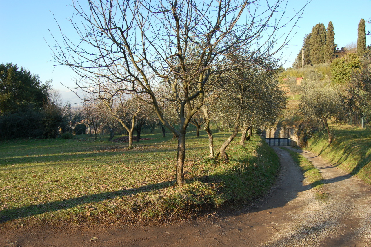 Foto annuncio 14