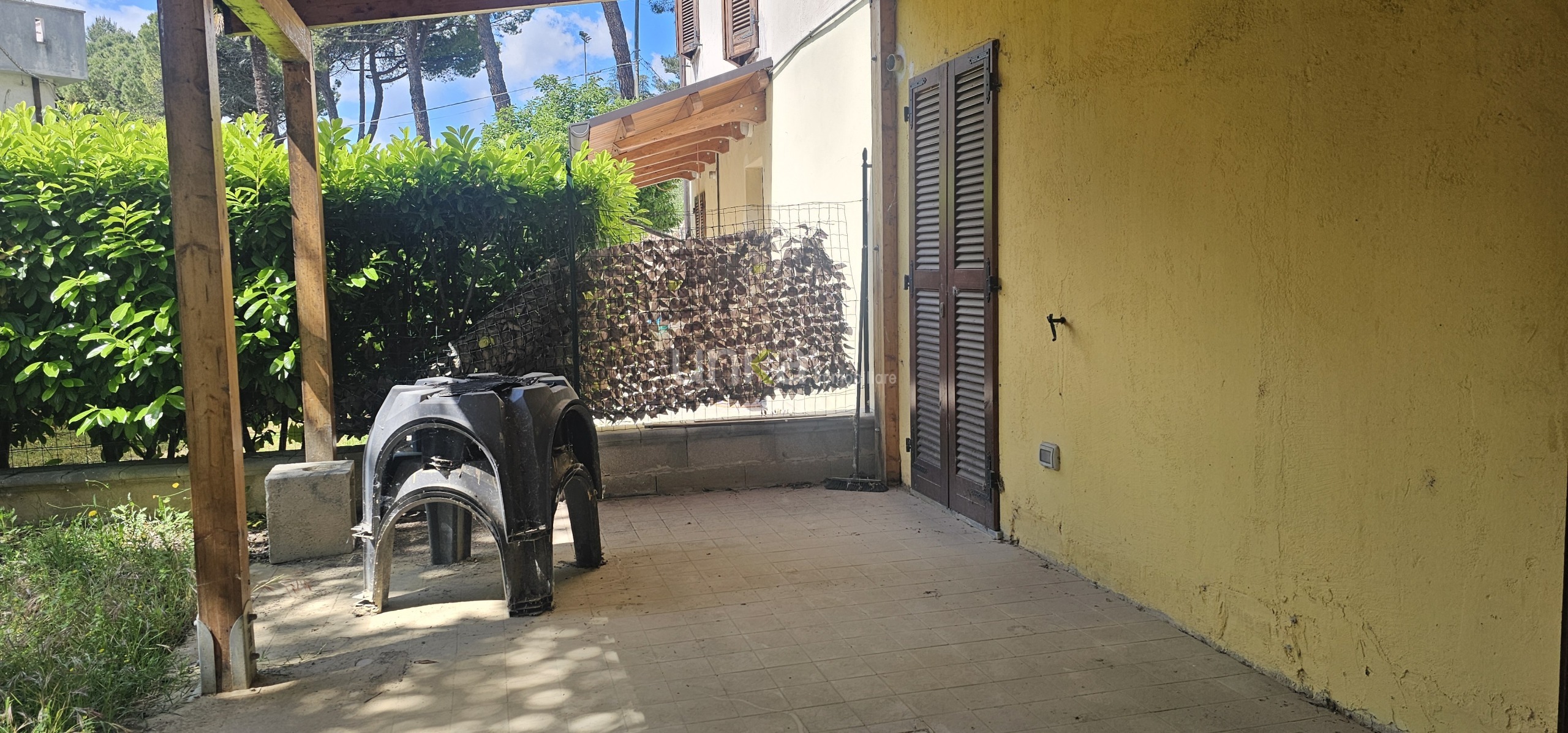 Foto annuncio 7