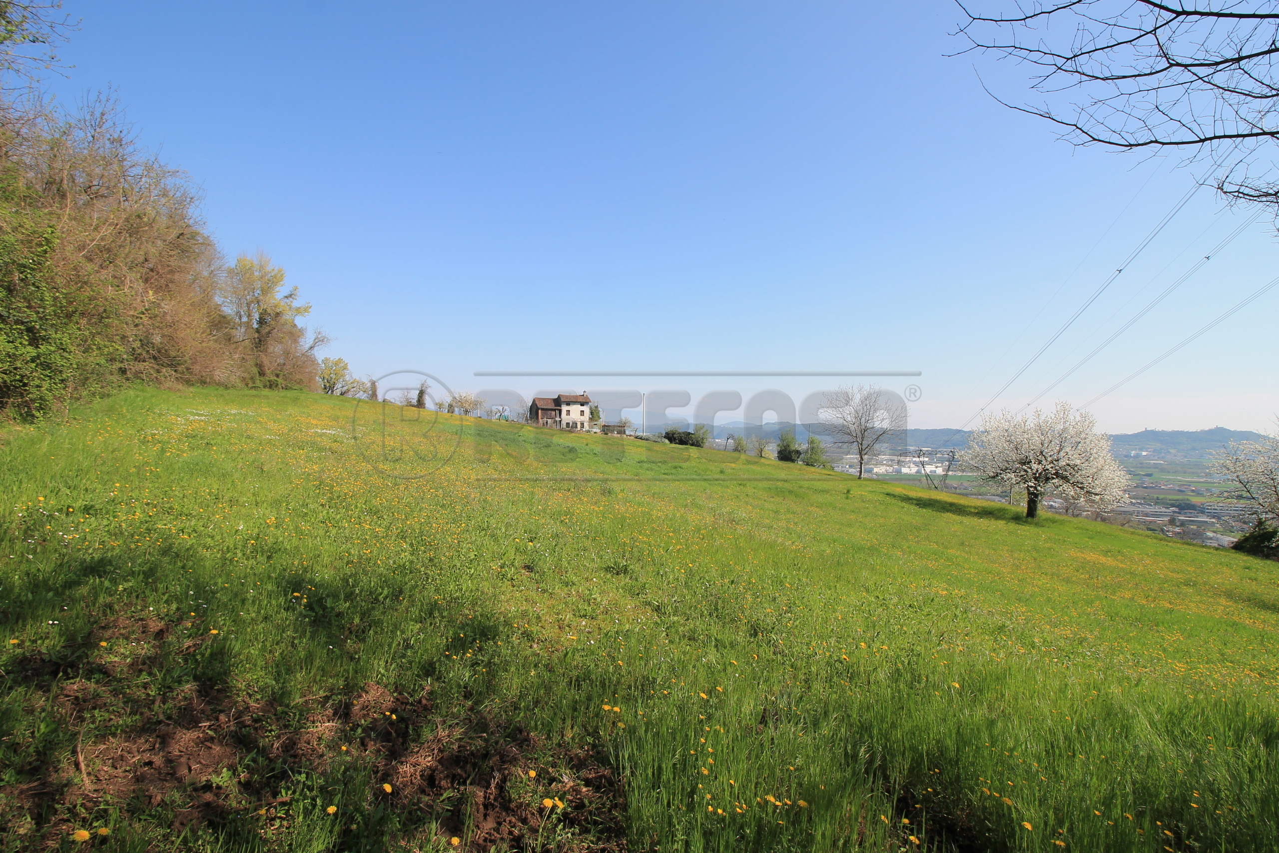 Immagine 4 di Rustico / casale in vendita  in Via San Nicolò 7 a Montorso Vicentino