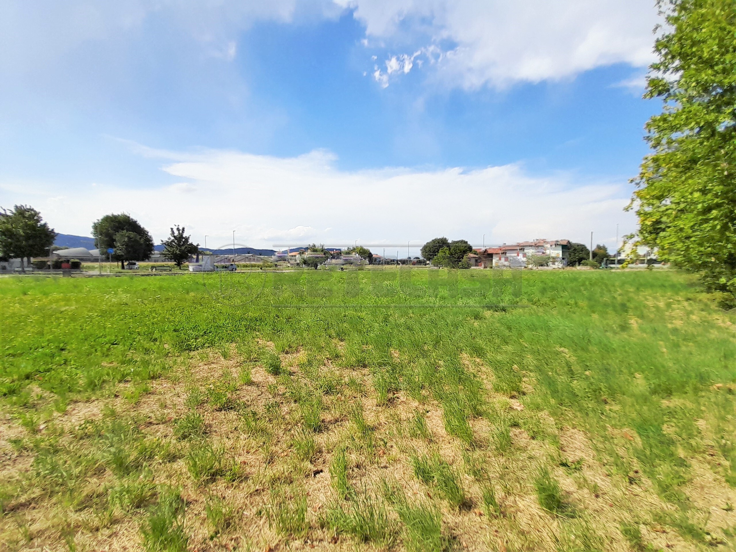 Immagine 6 di Terreno edificabile in vendita  a Castegnero