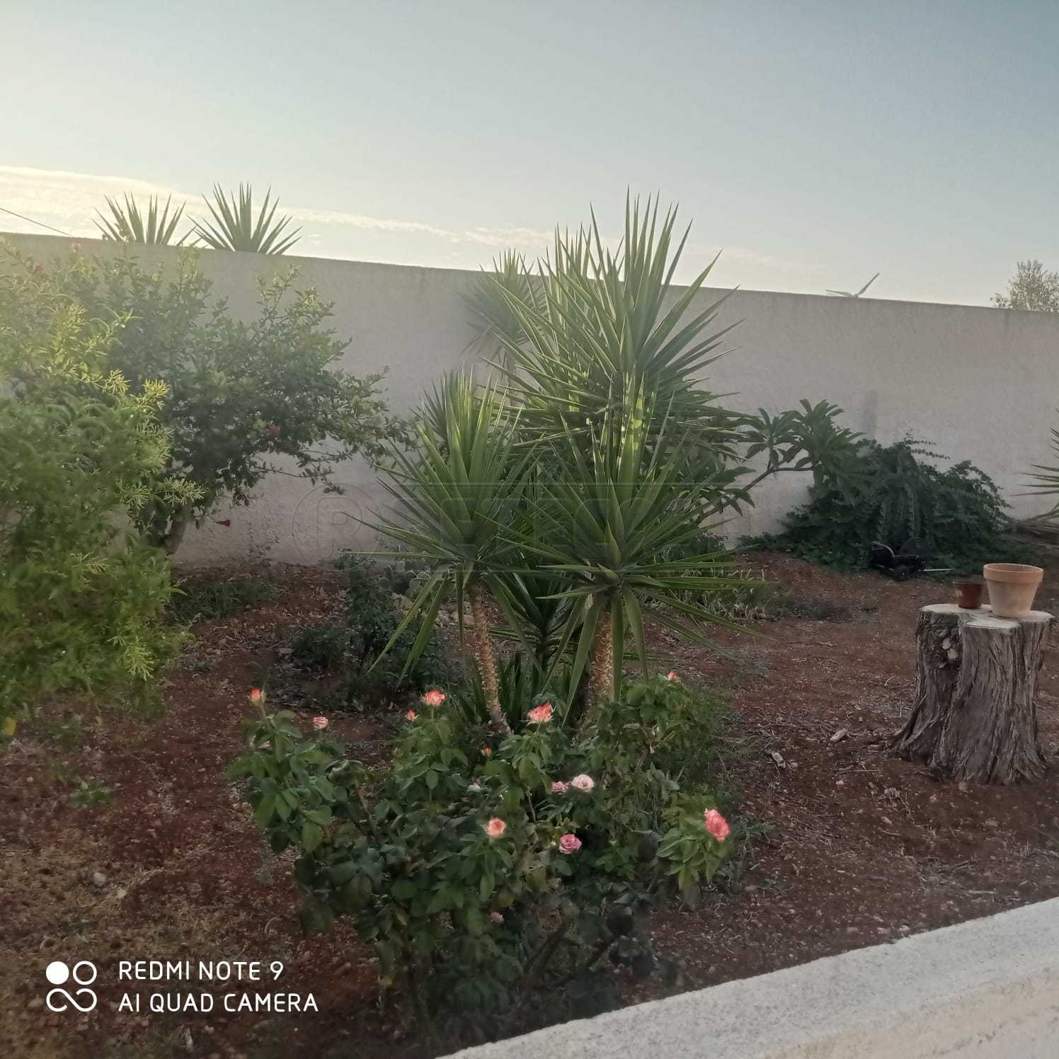 Immagine 3 di Villa in vendita  a Mazara Del Vallo