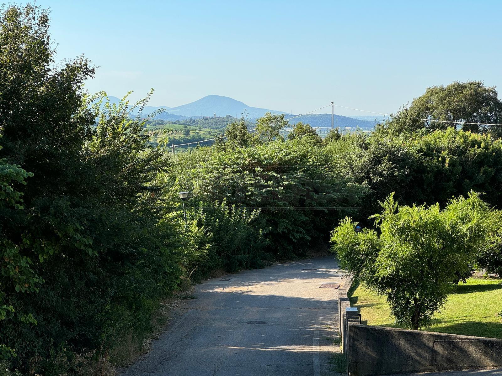 Immagine 3 di Terreno edificabile in vendita  in Via Giuseppe Garibladi a Barbarano Mossano