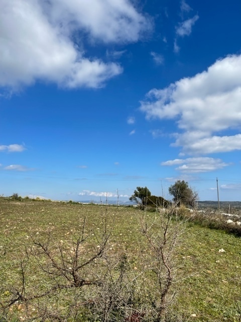 Foto annuncio 6