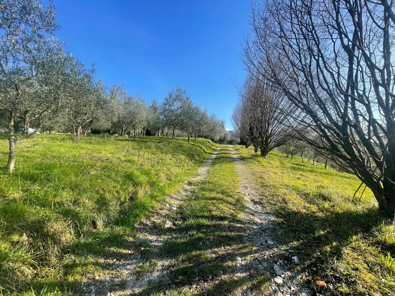 Immagine 14 di Rustico / casale in vendita  in Via dei bertolotti a Lucca