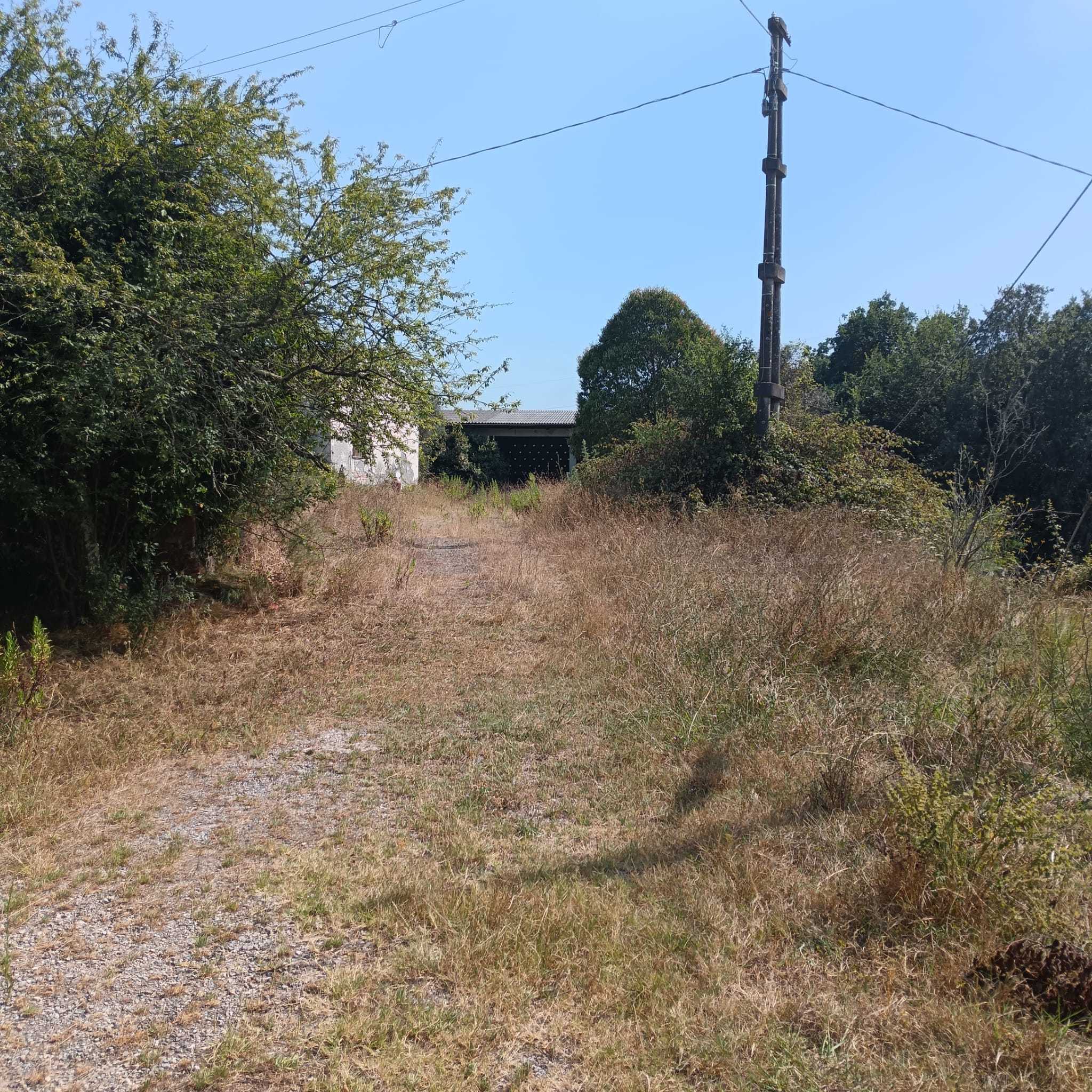 Immagine 11 di Rustico / casale in vendita  a Castelnuovo Magra