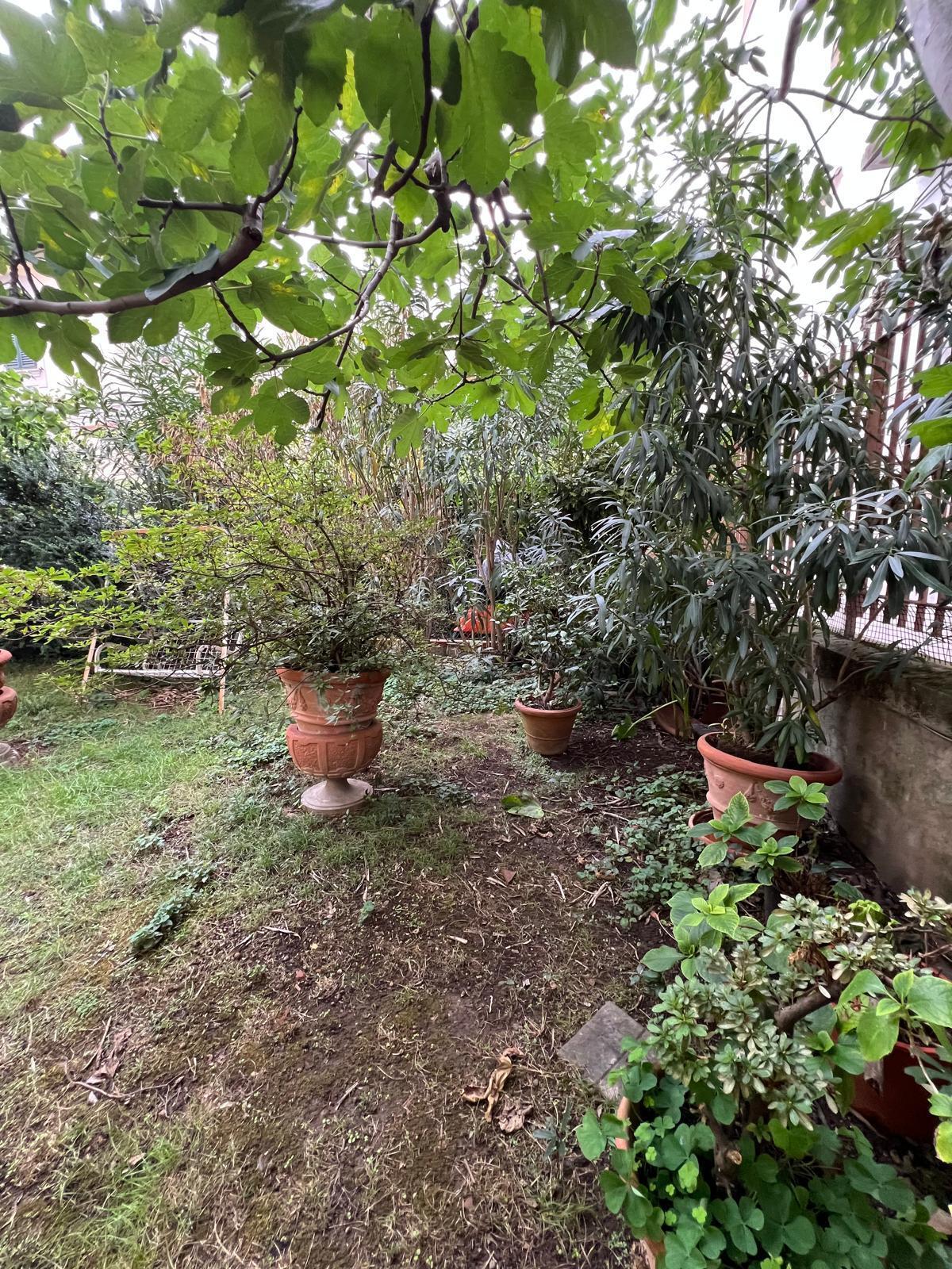 Foto annuncio 8